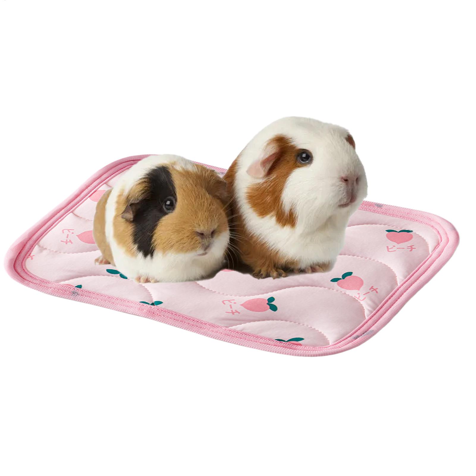 ペット用冷却マット 洗える小型動物用寝具 ペット用冷却ブラン - Outdoor Camping Dog Bed のレビューと価格