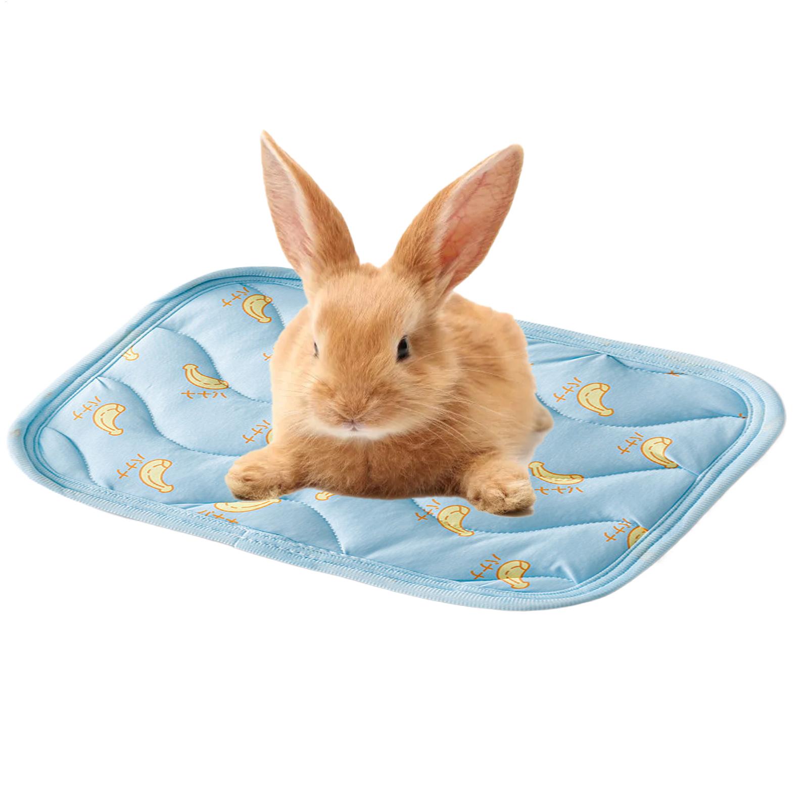 持ち運び可能な丈夫なペット用冷却マット、洗える小型動物用寝具 - Outdoor Camping Dog Bed のレビューと価格
